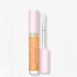 BISCOTTI- Too Faced-Smoothing Concealer